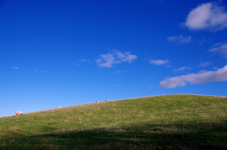 IMGP1993 edited 1920